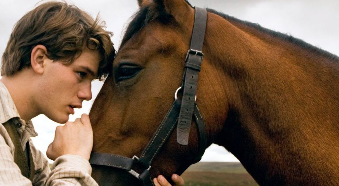 War Horse