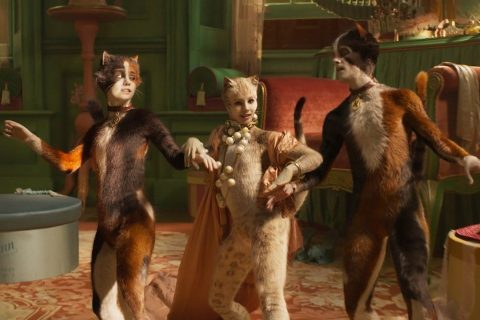 Cats
