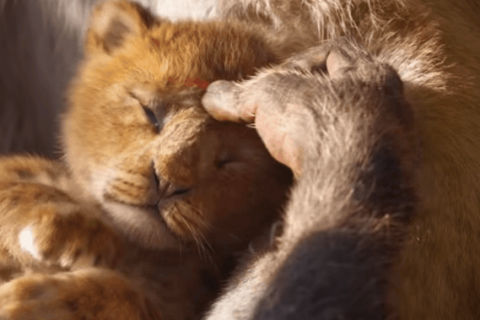 The Lion King (2019)