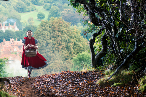 Into the Woods